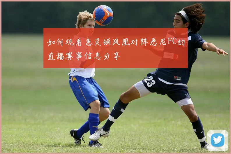 如何观看惠灵顿凤凰对阵悉尼FC的直播赛事信息分享