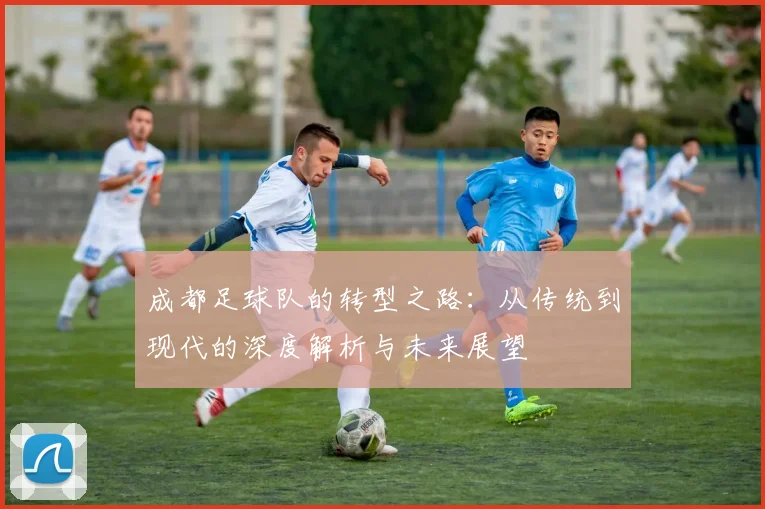 成都足球队的转型之路：从传统到现代的深度解析与未来展望