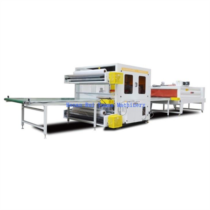 PE Film automatic Door shrink Wrapping Machine (3)